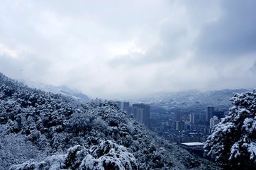 和公廙喜雪