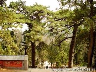 从幸香山寺应制