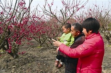 次天全翁雪湖赏梅（四首）