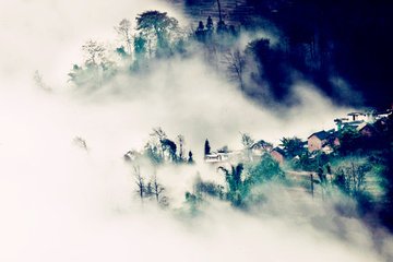 采桑子·跳珠雨罢风初静