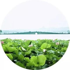 青玉案·平生似欠西湖债