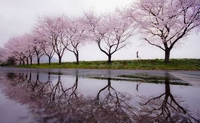 望海潮·侧寒斜雨