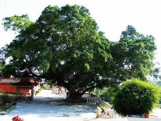 泗州阻风七日投佛经祷斗山下