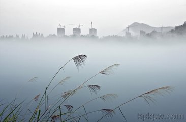 新安潘侯将行约游山门寺予以泞淖遂止因为诗