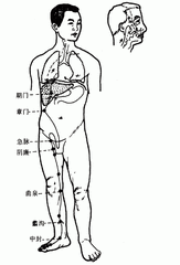 足厥阴及股凡二十二穴