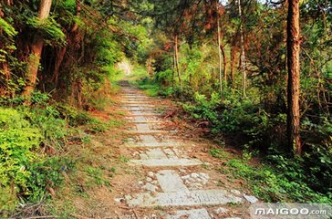 处州苍岭