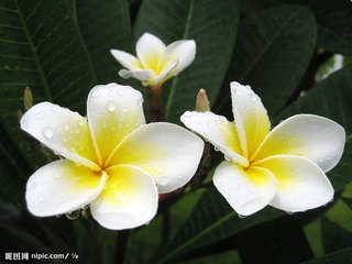 雨中花慢·痛饮狂歌