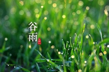 水龙吟 傅渊道宅上赏紫牡丹