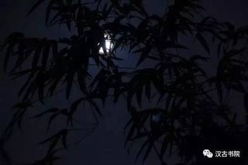 暑夕待月庭下夜深方归