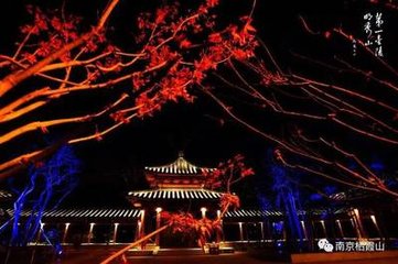 摄山栖霞寺山房夜坐简徐祭酒周尚书幷同游羣