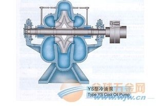 余客长沙寒热骤作其证未分理掾次律张君为致