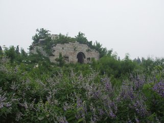 登首阳山谒夷齐庙