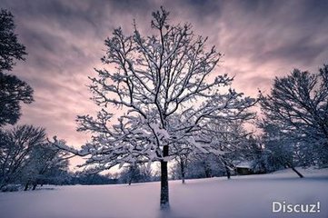 永遇乐（玩雪）