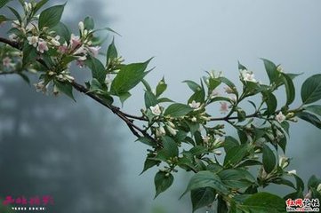 常宁县访许介之途中即景