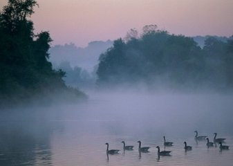 水调歌头（再用前韵答任令尹）