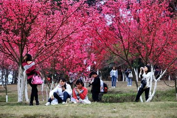 春日奉陪子安诸公游石门