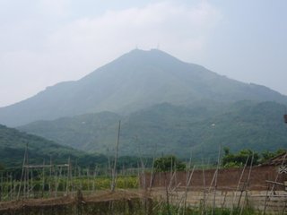 登山有作