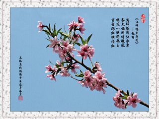 壶中二色桃花