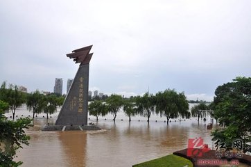 骤雨