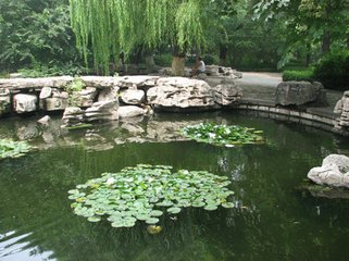 雨后环波亭次韵四首·次李秀才得鱼字韵