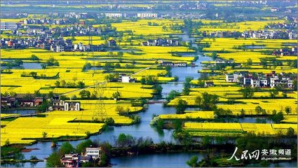 送吴都曹还芜湖