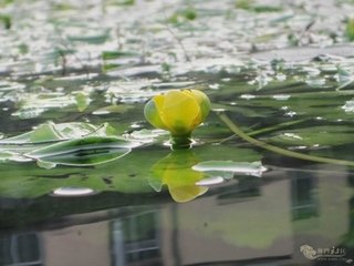 游荆门上泉寺