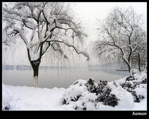 咏雪