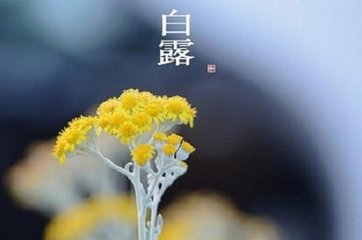 沁园春·诗不云乎