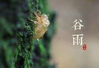 某伯子惠虎丘茗谢之