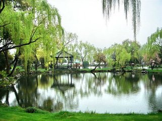 采桑子·连朝雨骤驱春去