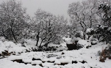 菩萨蛮·照溪梅雪和烟堕