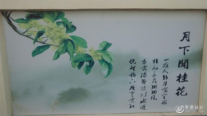 桂花