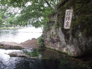 宿江浦有怀定山先生