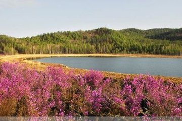 木兰花慢·叹西山归客