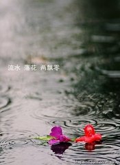 西江月（立春）