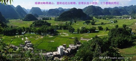 题东兰若