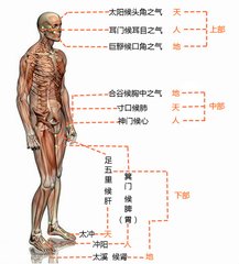 三部九候第三