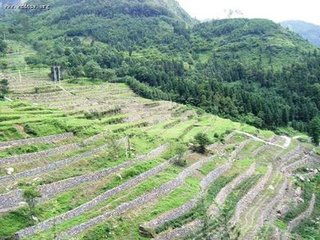 鹧鸪天·前数重阳後小春