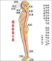 阳跷脉