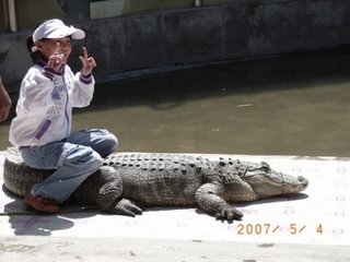 赠叶山人