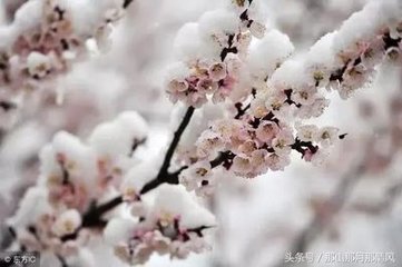 次韵和酬刁景纯春雪戏意