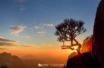 霜角 黄山寻霁