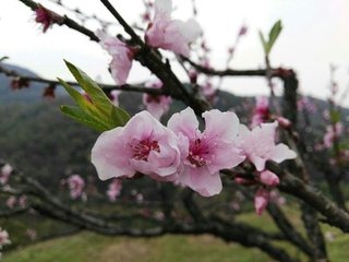 日夕出富阳浦口和朗公诗