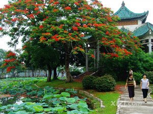 次韵和吴季野游山寺登望文脊山