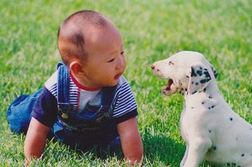 题友人所居（即故元少尹宅）