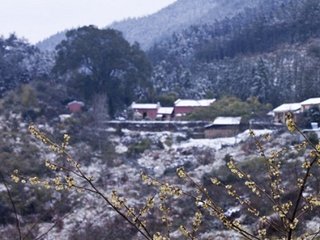 新雪八韵（一作闲居新雪）