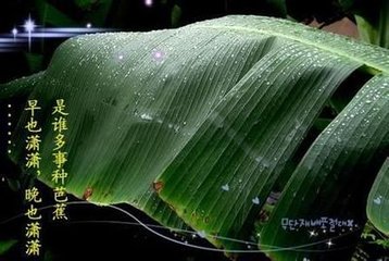 蝶恋花·夜雨鸣檐声录蔌