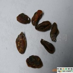 王元聘惠石菖蒲