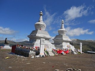 拟水西寺东峰亭九咏·临轩桂