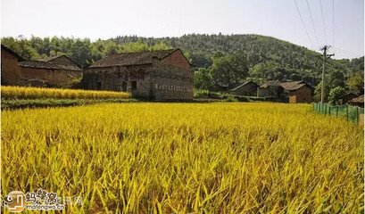 赋得风光草际浮